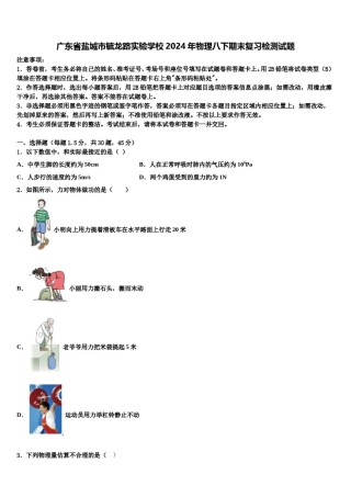广东省盐城市毓龙路实验学校2024年物理八下期末复习检测试题含解析.doc