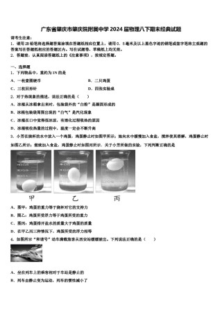 广东省肇庆市肇庆院附属中学2024届物理八下期末经典试题含解析.doc