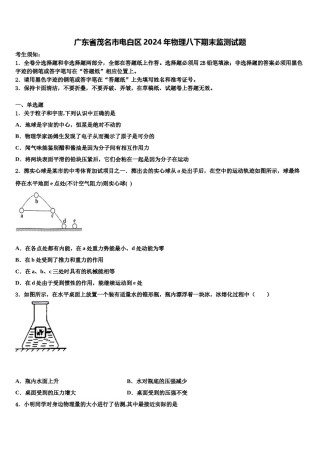 广东省茂名市电白区2024年物理八下期末监测试题含解析.doc