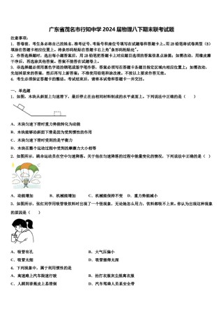 广东省茂名市行知中学2024届物理八下期末联考试题含解析.doc