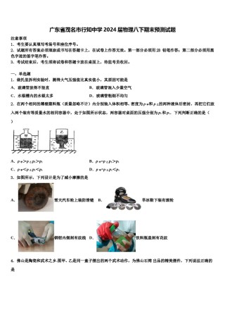广东省茂名市行知中学2024届物理八下期末预测试题含解析.doc