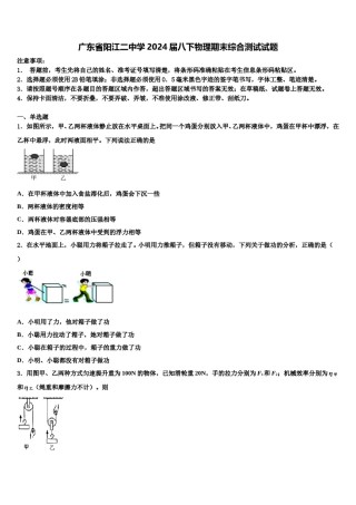 广东省阳江二中学2024届八下物理期末综合测试试题含解析.doc
