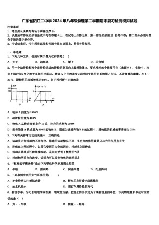 广东省阳江二中学2024年八年级物理第二学期期末复习检测模拟试题含解析.doc