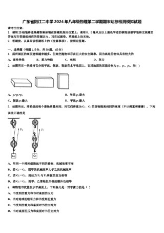 广东省阳江二中学2024年八年级物理第二学期期末达标检测模拟试题含解析.doc