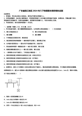 广东省阳江地区2024年八下物理期末调研模拟试题含解析.doc