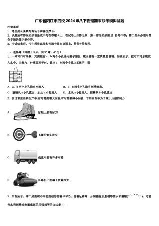 广东省阳江市四校2024年八下物理期末联考模拟试题含解析.doc