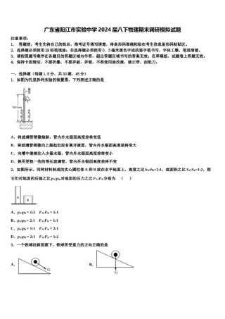广东省阳江市实验中学2024届八下物理期末调研模拟试题含解析.doc