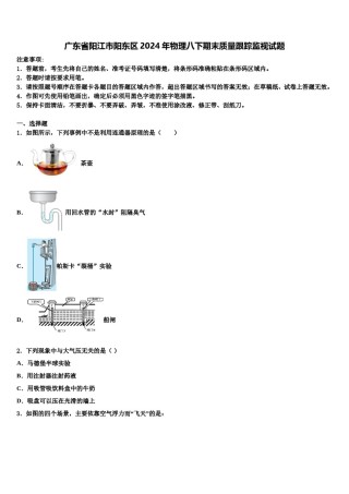 广东省阳江市阳东区2024年物理八下期末质量跟踪监视试题含解析.doc