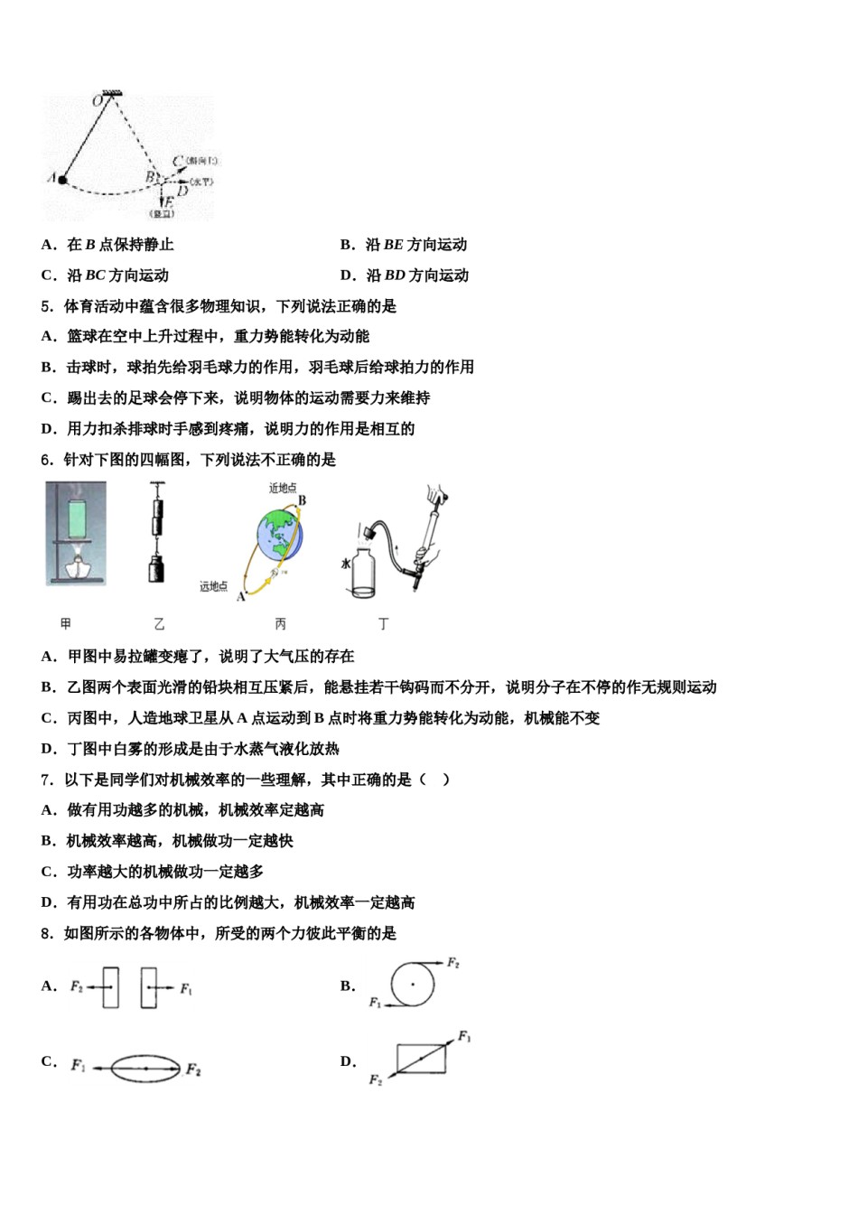 广东省陆丰市春源双语学校2024届物理八下期末教学质量检测试题含解析.doc_第2页