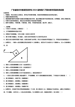 广东省陆丰市春源双语学校2024届物理八下期末教学质量检测试题含解析.doc