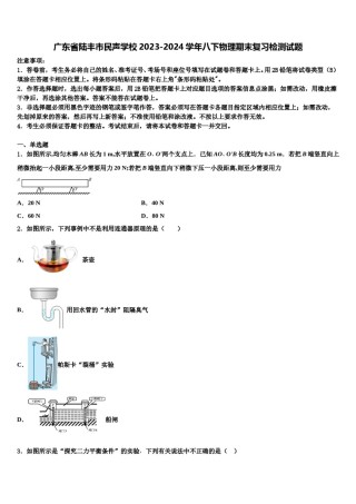 广东省陆丰市民声学校2023-2024学年八下物理期末复习检测试题含解析.doc