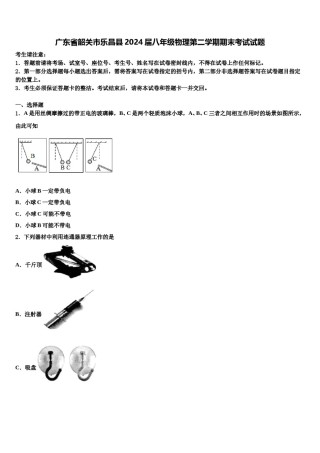 广东省韶关市乐昌县2024届八年级物理第二学期期末考试试题含解析.doc