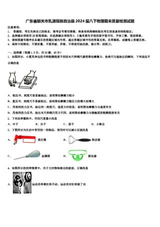 广东省韶关市乳源瑶族自治县2024届八下物理期末质量检测试题含解析.doc