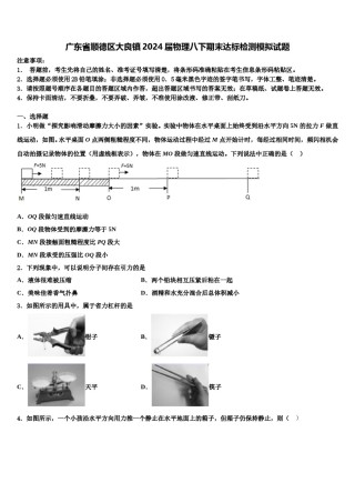 广东省顺德区大良镇2024届物理八下期末达标检测模拟试题含解析.doc