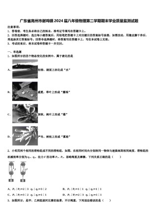 广东省高州市谢鸡镇2024届八年级物理第二学期期末学业质量监测试题含解析.doc
