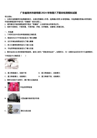 广东省高州市谢鸡镇2024年物理八下期末检测模拟试题含解析.doc