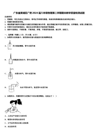 广东省黄埔区广附2024届八年级物理第二学期期末教学质量检测试题含解析.doc