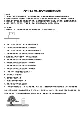广西兴业县2024年八下物理期末考试试题含解析.doc