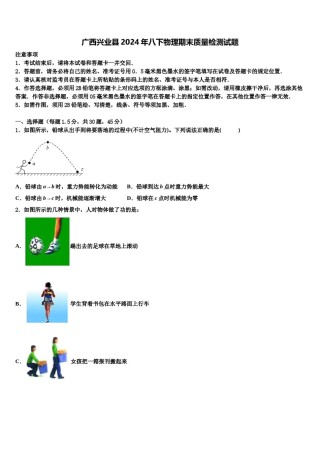 广西兴业县2024年八下物理期末质量检测试题含解析.doc