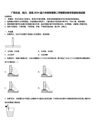 广西北流、陆川、容县2024届八年级物理第二学期期末教学质量检测试题含解析.doc