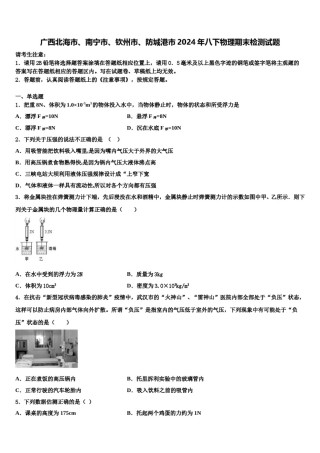 广西北海市、南宁市、钦州市、防城港市2024年八下物理期末检测试题含解析.doc