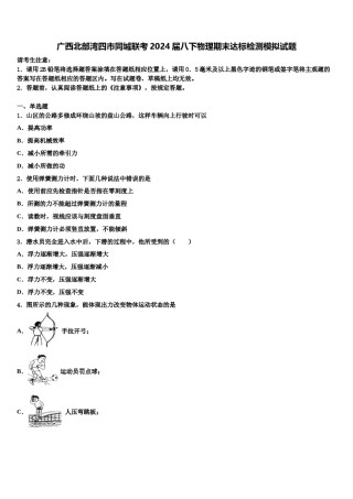 广西北部湾四市同城联考2024届八下物理期末达标检测模拟试题含解析.doc