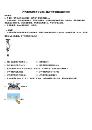 广西北部湾经济区2024届八下物理期末调研试题含解析.doc