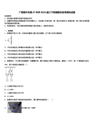 广西南宁市第47中学2024届八下物理期末统考模拟试题含解析.doc