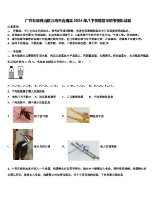 广西壮族自治区北海市合浦县2024年八下物理期末统考模拟试题含解析.doc