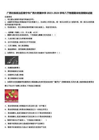 广西壮族自治区南宁市广西大附属中学2023-2024学年八下物理期末检测模拟试题含解析.doc
