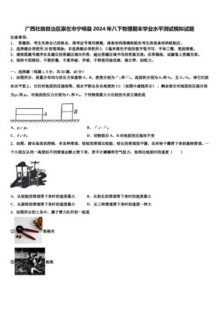 广西壮族自治区崇左市宁明县2024年八下物理期末学业水平测试模拟试题含解析.doc