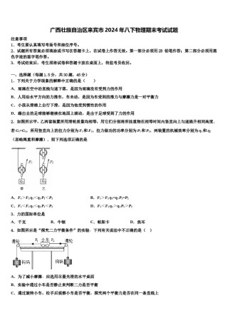 广西壮族自治区来宾市2024年八下物理期末考试试题含解析.doc