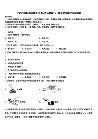 广西壮族自治区桂平市2024年物理八下期末学业水平测试试题含解析.doc