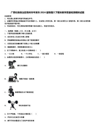 广西壮族自治区梧州市岑溪市2024届物理八下期末教学质量检测模拟试题含解析.doc