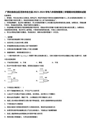 广西壮族自治区河池市东兰县2023-2024学年八年级物理第二学期期末检测模拟试题含解析.doc