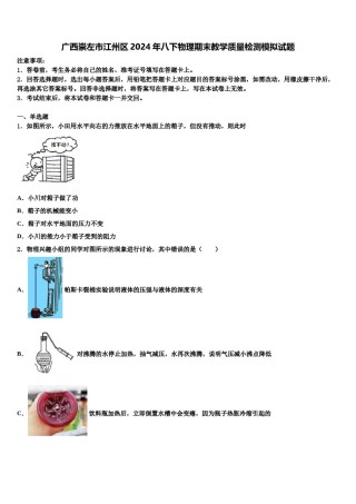 广西崇左市江州区2024年八下物理期末教学质量检测模拟试题含解析.doc