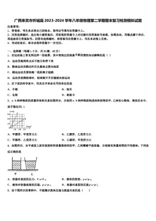 广西来宾市忻城县2023-2024学年八年级物理第二学期期末复习检测模拟试题含解析.doc
