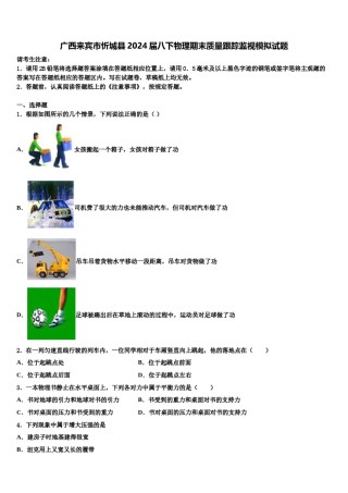 广西来宾市忻城县2024届八下物理期末质量跟踪监视模拟试题含解析.doc