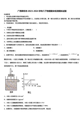 广西柳州市2023-2024学年八下物理期末检测模拟试题含解析.doc