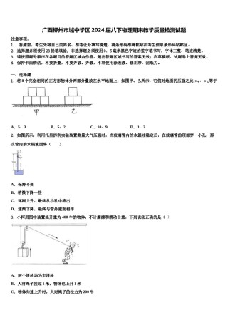 广西柳州市城中学区2024届八下物理期末教学质量检测试题含解析.doc