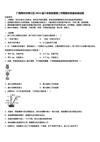 广西柳州市柳江区2024届八年级物理第二学期期末质量检测试题含解析.doc