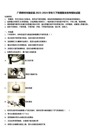 广西柳州市融安县2023-2024学年八下物理期末统考模拟试题含解析.doc