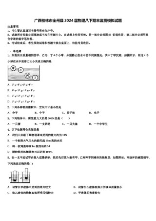 广西桂林市全州县2024届物理八下期末监测模拟试题含解析.doc