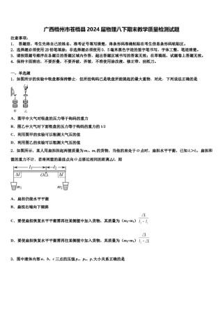 广西梧州市苍梧县2024届物理八下期末教学质量检测试题含解析.doc