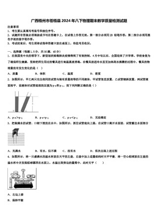 广西梧州市苍梧县2024年八下物理期末教学质量检测试题含解析.doc