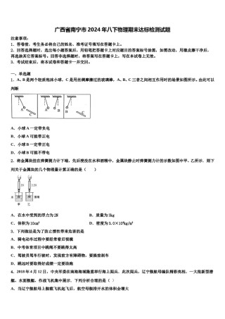 广西省南宁市2024年八下物理期末达标检测试题含解析.doc