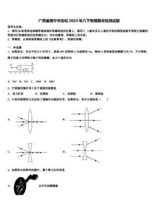广西省南宁市名校2024年八下物理期末检测试题含解析.doc