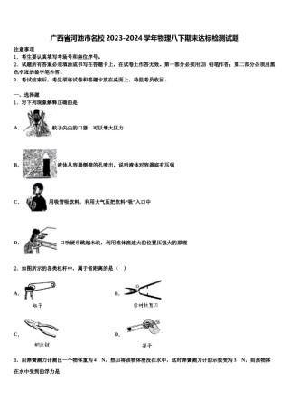 广西省河池市名校2023-2024学年物理八下期末达标检测试题含解析.doc