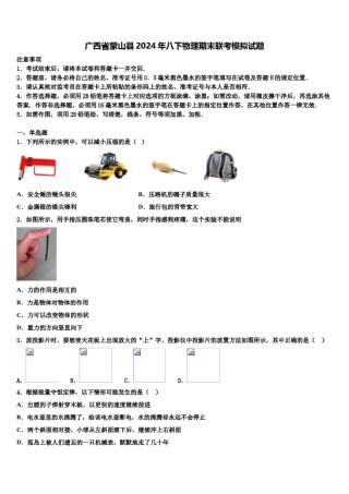 广西省蒙山县2024年八下物理期末联考模拟试题含解析.doc