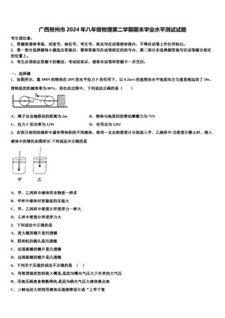 广西贺州市2024年八年级物理第二学期期末学业水平测试试题含解析.doc